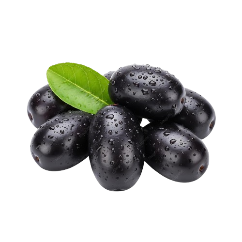 Radhashri Agro jamun Products